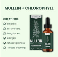 Mullein + Chlorophyll Lung Drops