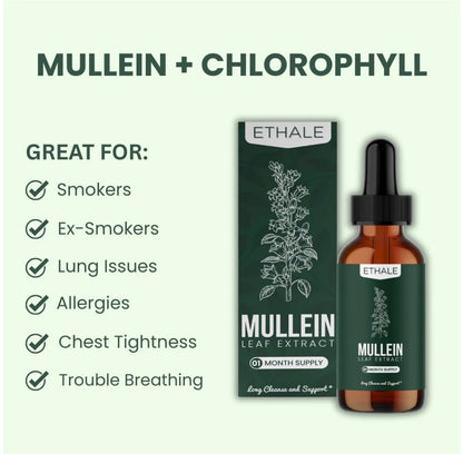 Mullein + Chlorophyll Lung Drops