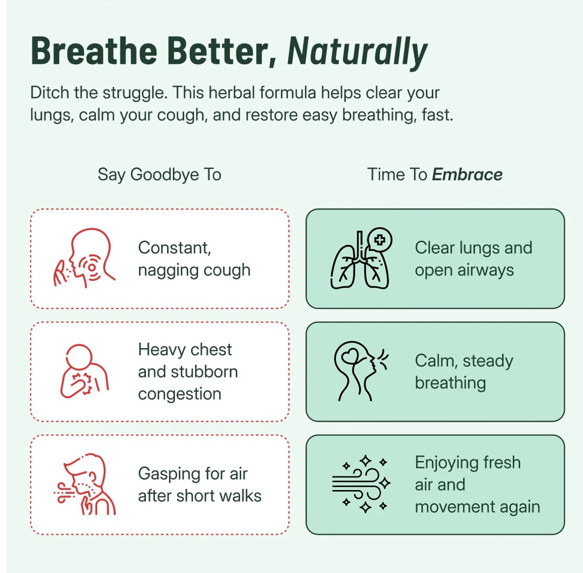 Mullein + Chlorophyll Lung Drops