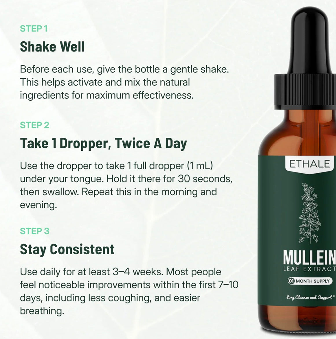 Mullein + Chlorophyll Lung Drops