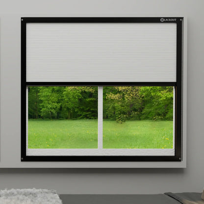 Blackout Blinds