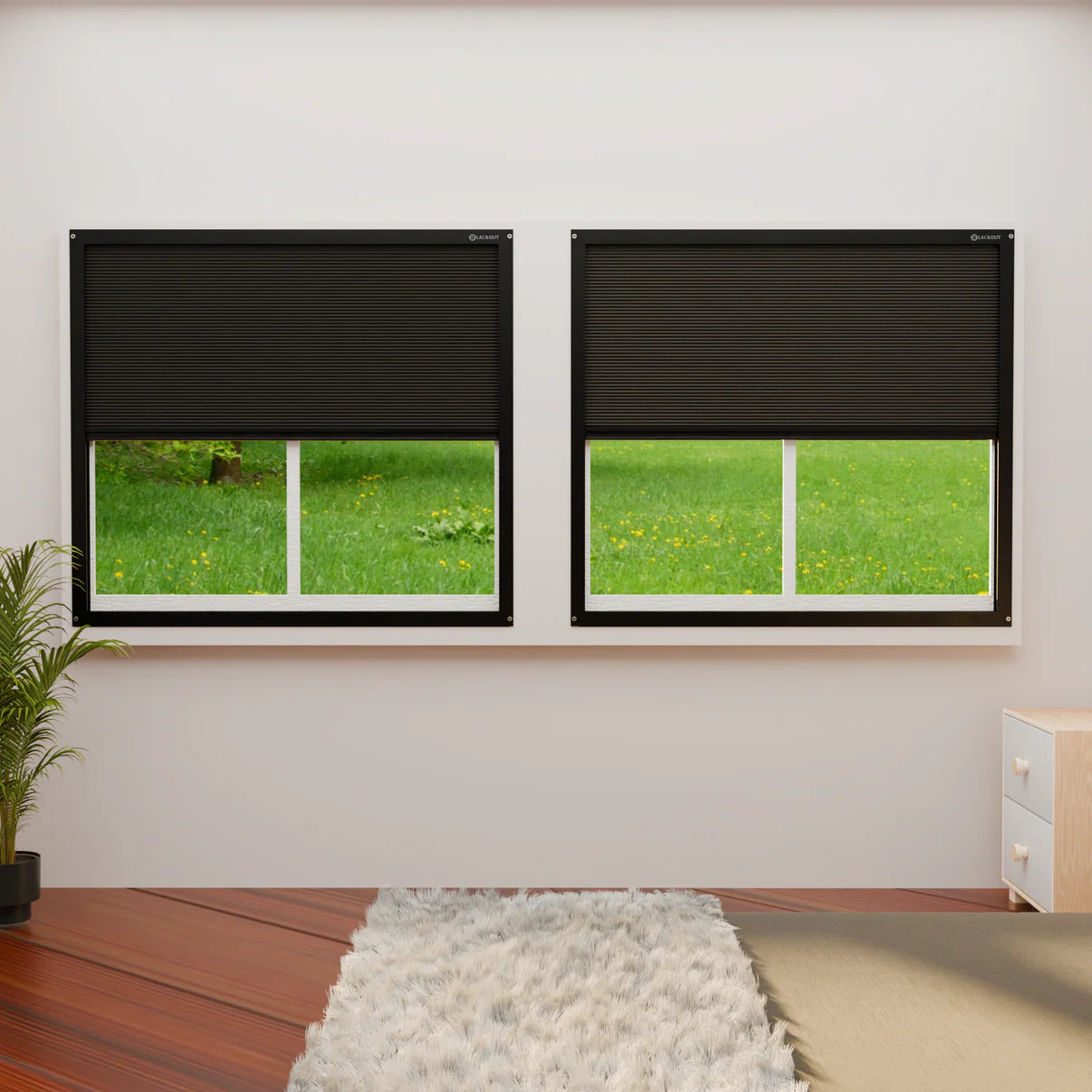 Blackout Blinds