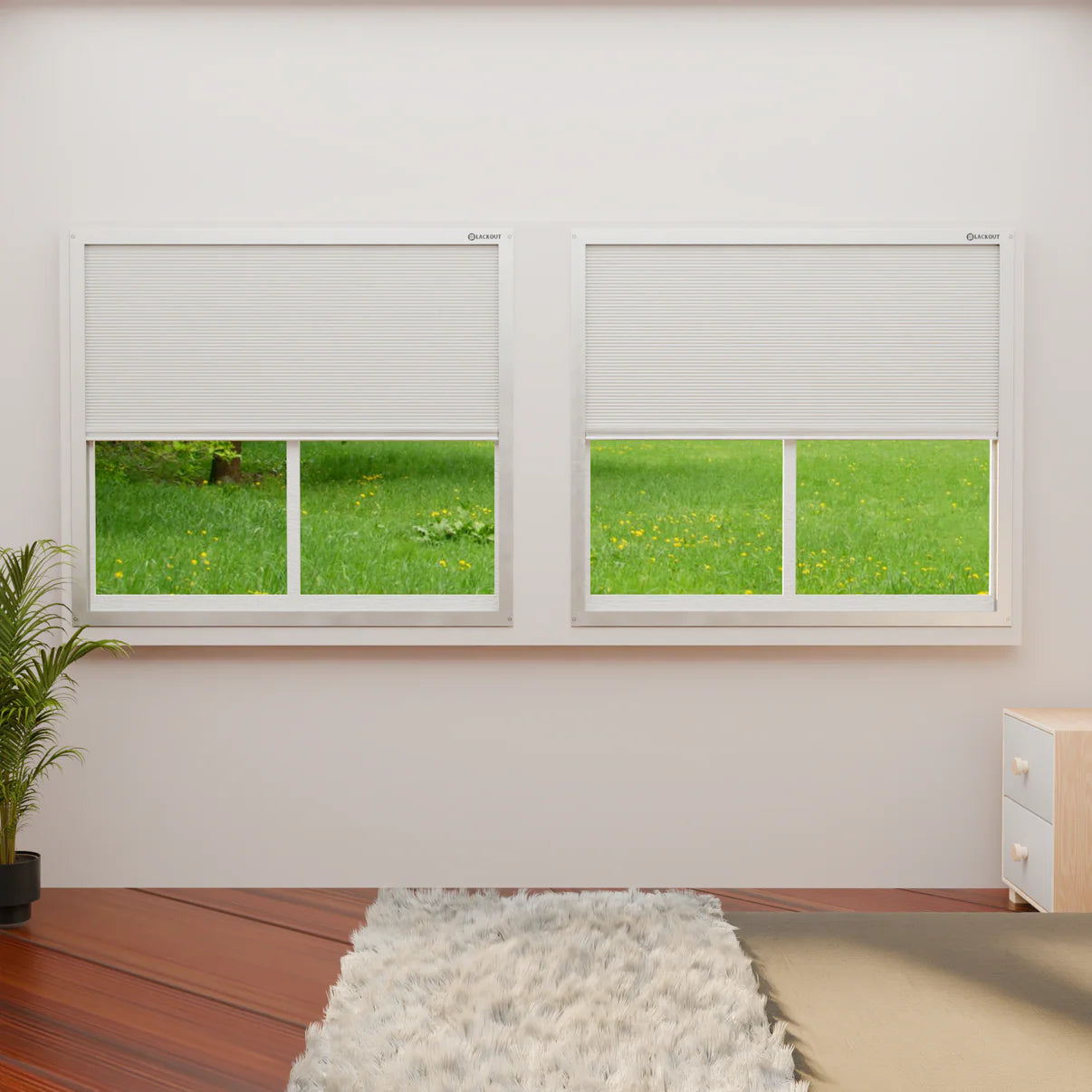 Blackout Blinds